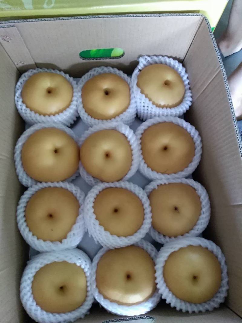 推荐，冠县丰水梨，脆甜多汁，产地直发品质有保障，欢迎采购