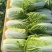 大娃娃菜【陕西娃娃菜】诚信经营，客户至上！支持视频看货