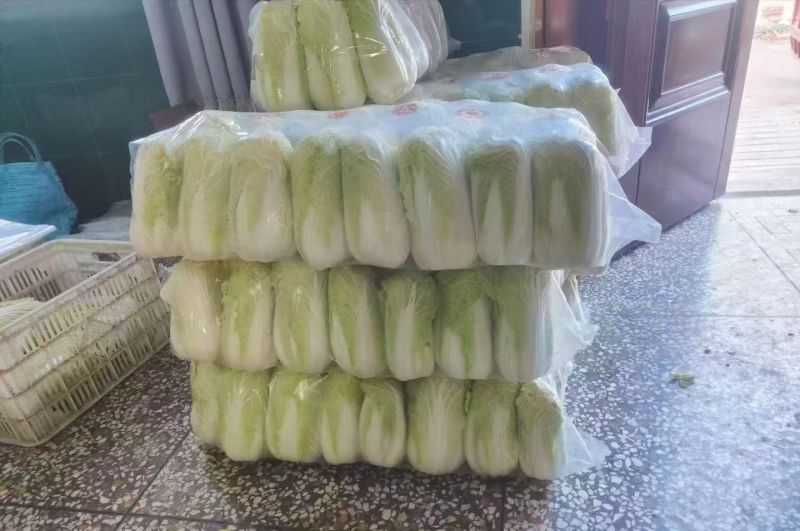 大娃娃菜【陕西娃娃菜】诚信经营，客户至上！支持视频看货