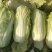大娃娃菜【陕西娃娃菜】诚信经营，客户至上！支持视频看货