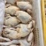 黑棕鹅批发零售