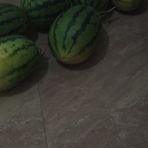 花冠王子