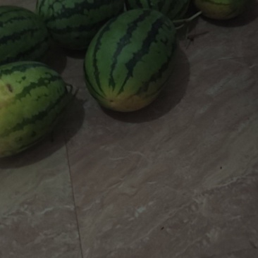 花冠王子