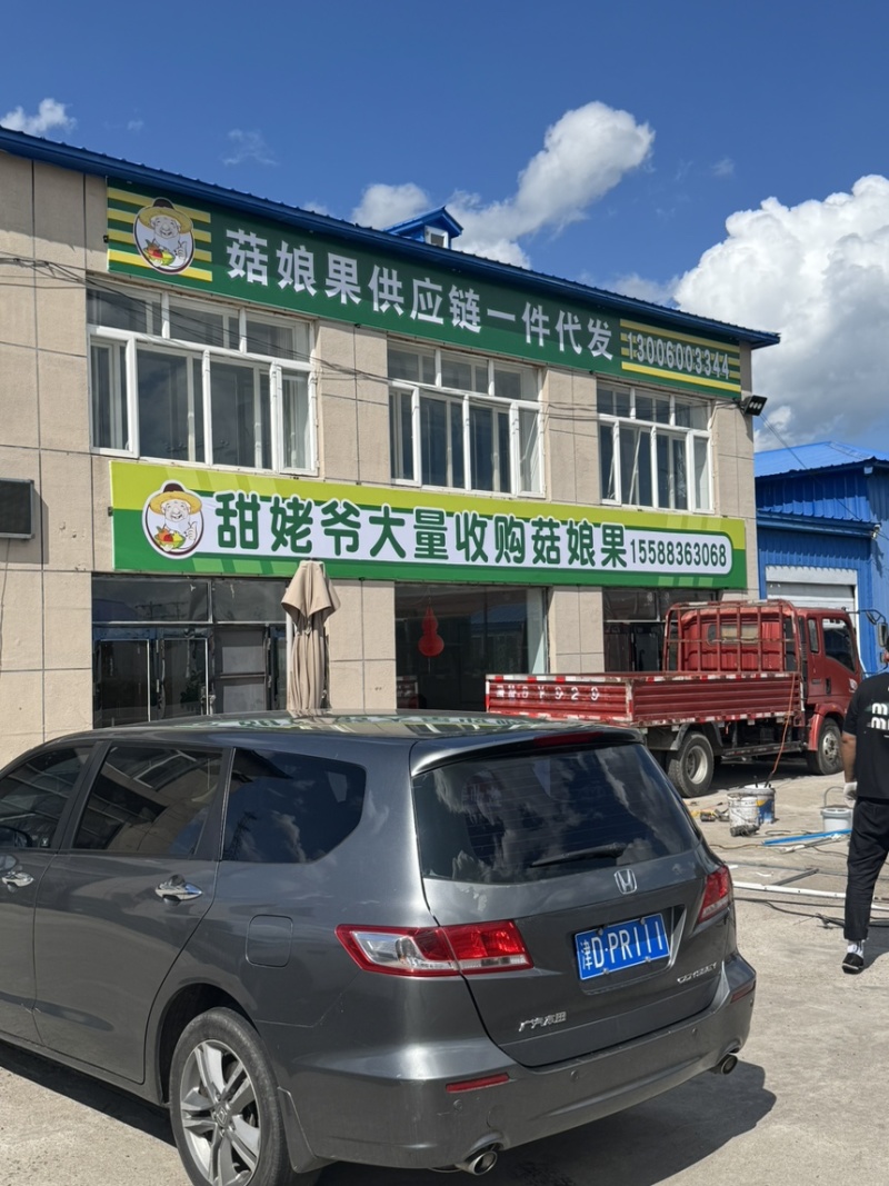 东北姑娘果专业供应链，可日发万单！