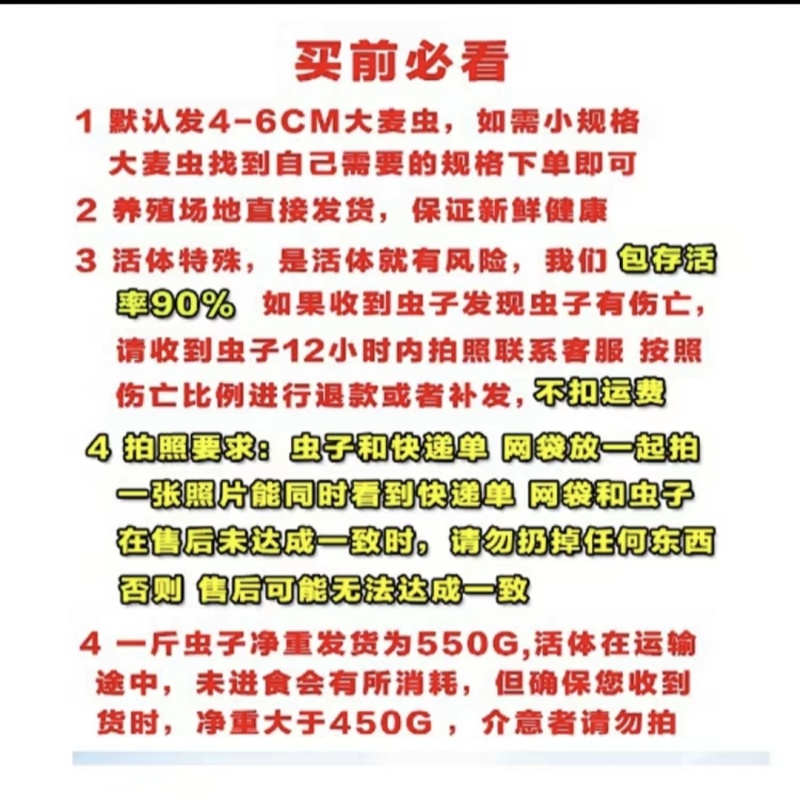 北方活体大麦虫，龙鱼、八哥、守宫优质活体饲料