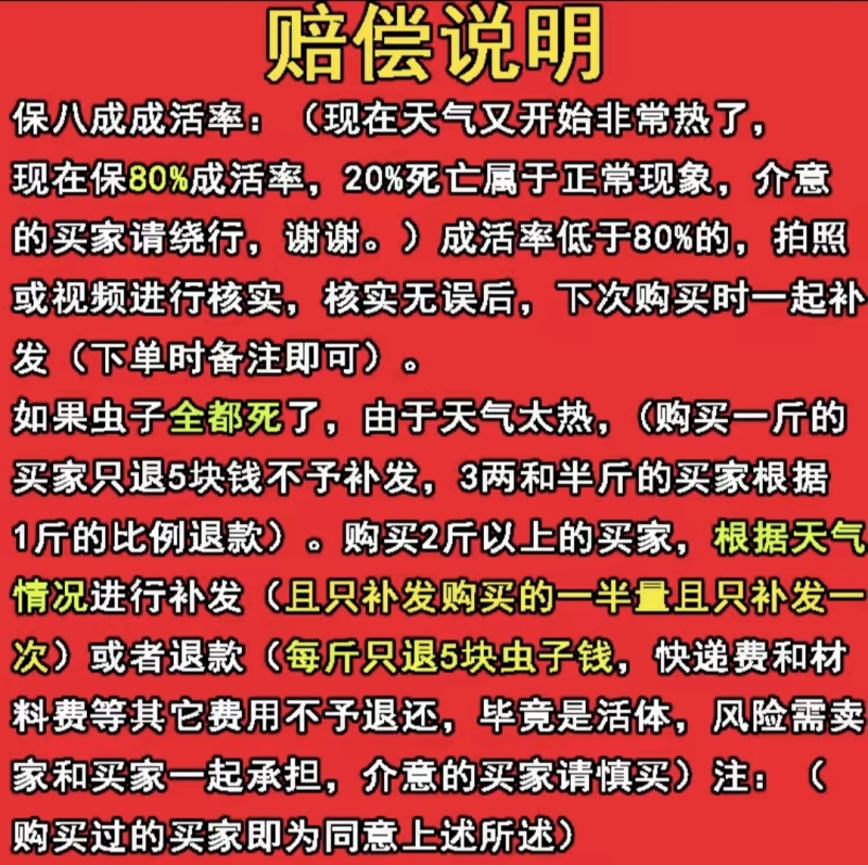 北方活体大麦虫，龙鱼、八哥、守宫优质活体饲料