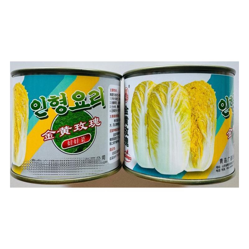 金黄玫瑰娃娃菜种子高产抗病耐热耐寒春秋播韩国引进