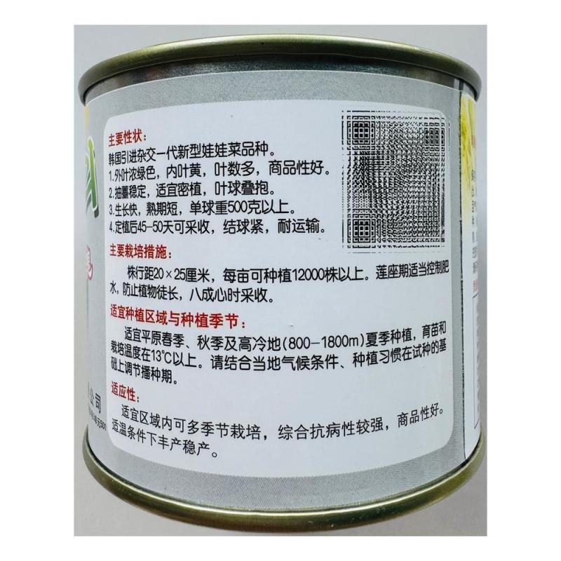 金黄玫瑰娃娃菜种子高产抗病耐热耐寒春秋播韩国引进