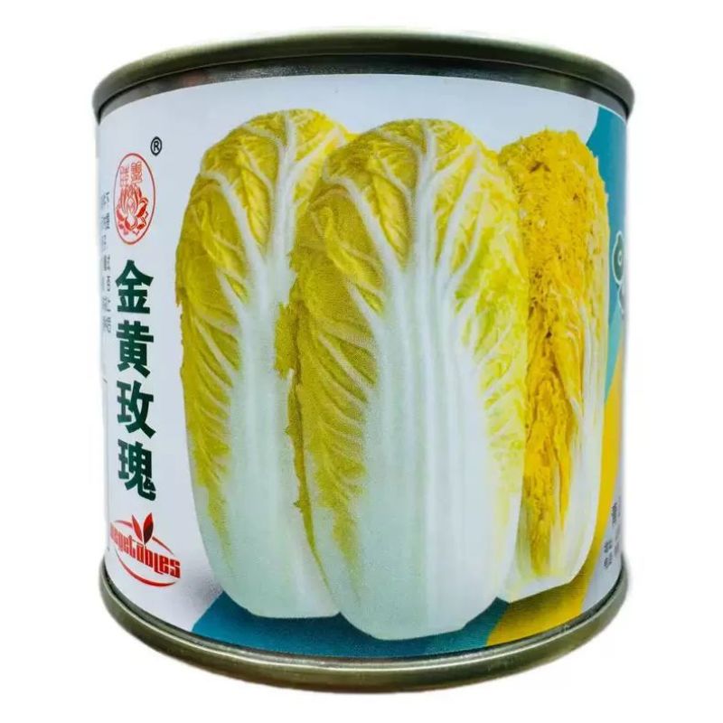 金黄玫瑰娃娃菜种子高产抗病耐热耐寒春秋播韩国引进