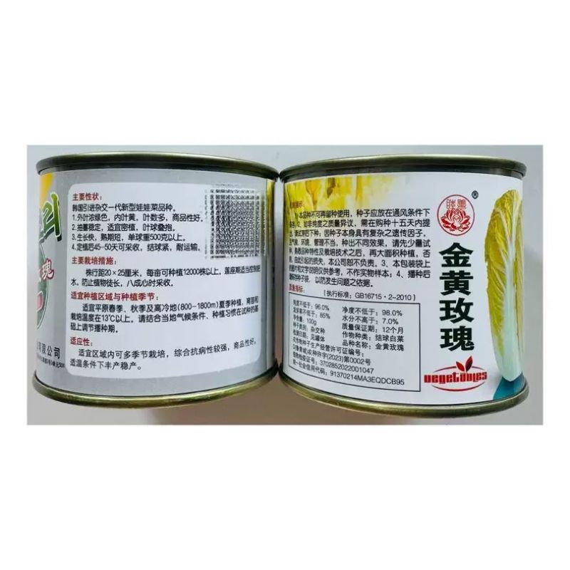 金黄玫瑰娃娃菜种子高产抗病耐热耐寒春秋播韩国引进