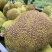 菠萝蜜