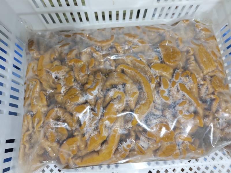 卤肥肠