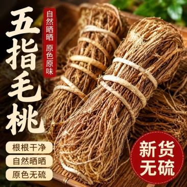 广东五指毛桃500g五爪龙牛奶根干货煲汤泡水量大优惠新货