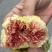 青皮无花果