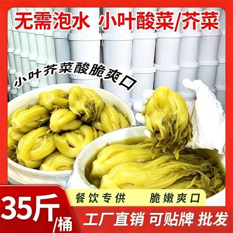 广西酸菜小叶酸芥菜腌制商用批发35斤装酸菜鱼专用