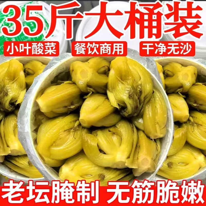 广西酸菜小叶酸芥菜腌制商用批发35斤装酸菜鱼专用