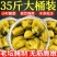 广西酸菜小叶酸芥菜腌制商用批发35斤装酸菜鱼专用