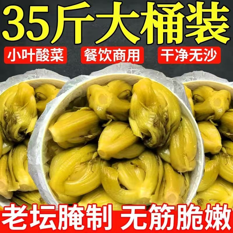 广西酸菜小叶酸芥菜腌制商用批发35斤装酸菜鱼专用