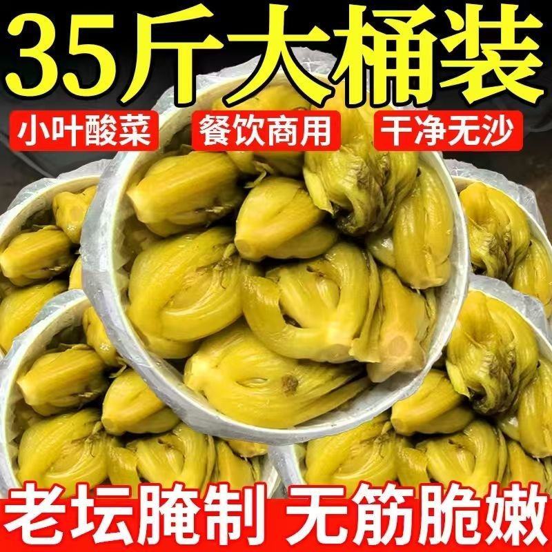 广西酸菜小叶酸芥菜腌制商用批发35斤装酸菜鱼专用