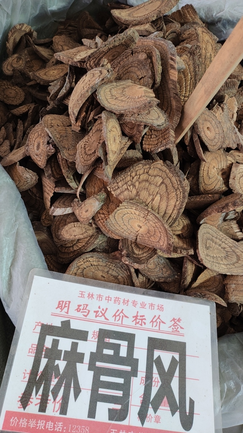 中药材麻骨风，买麻藤