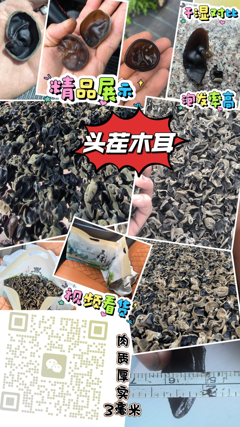 黑木耳