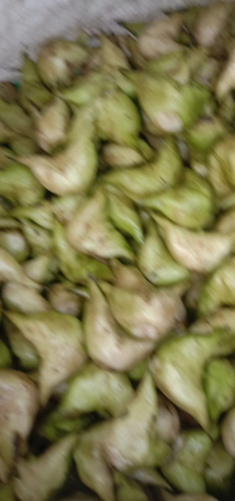 水红菱既将上市，青元宝菱，藕带，需要的联系我。