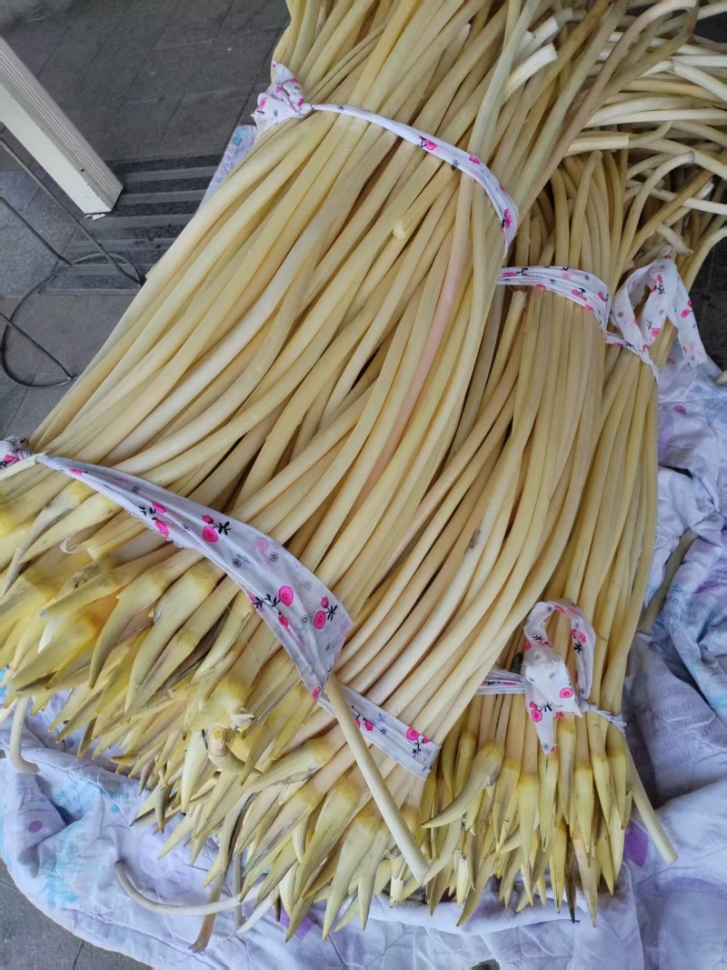水红菱既将上市，青元宝菱，藕带，需要的联系我。