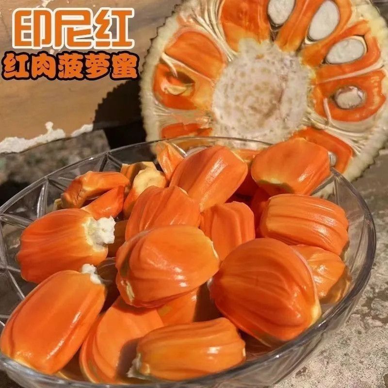 正宗嫁接苗印尼红红肉菠萝蜜树苗带土结果快四季开花地栽包邮
