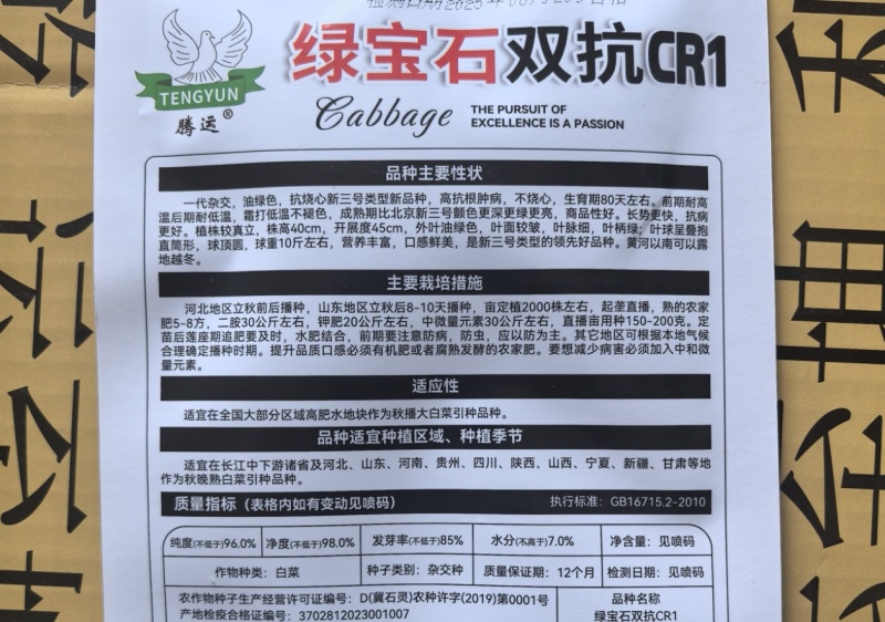 绿宝石双抗CR1白菜种子秋播中晚熟抗根肿病大白菜种子高产
