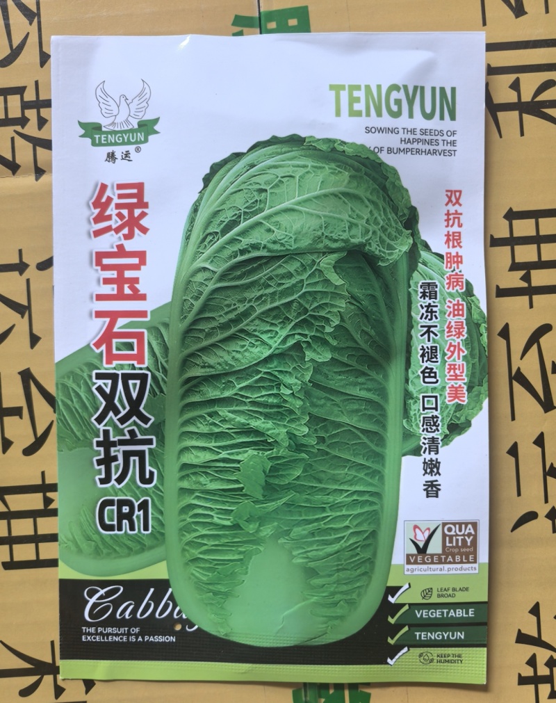 绿宝石双抗CR1白菜种子秋播中晚熟抗根肿病大白菜种子高产