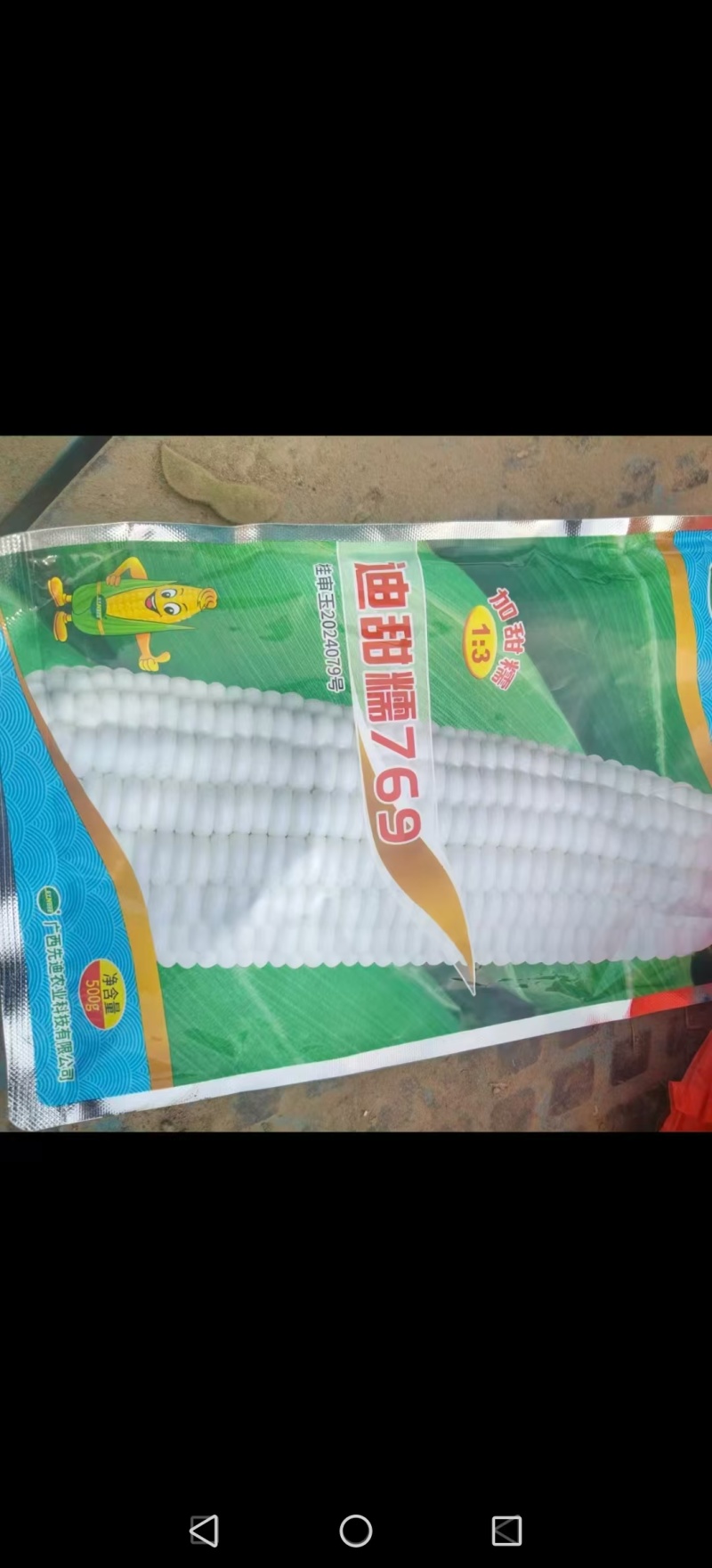 沙土地超甜糯玉米新品种