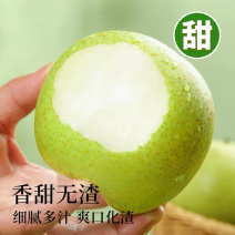 皇冠青梨，产地大量供货，果面干净，对接全国各地市场