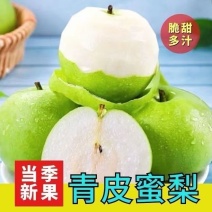 精品皇冠梨，鲜果大量上市，对接电商，市场，商超，品质保证