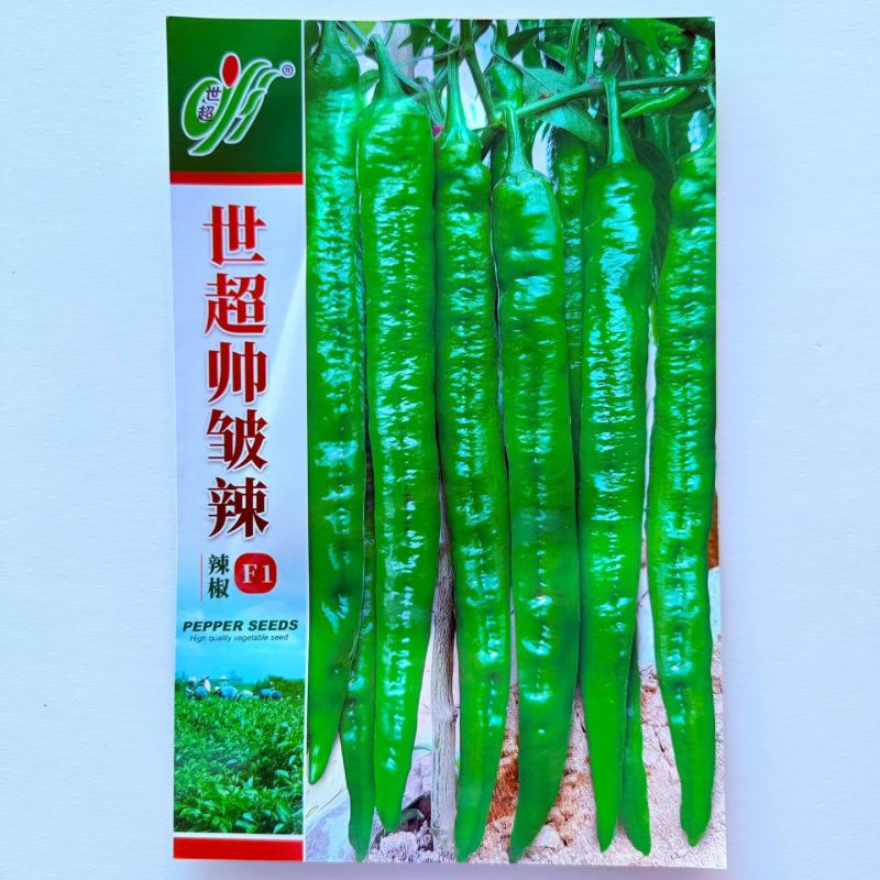 世超帅皱辣辣椒种子中熟羊角形皱皮辣椒果色绿亮顺直微皱春秋