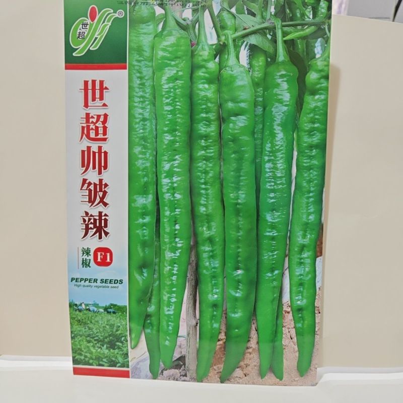 世超帅皱辣辣椒种子中熟羊角形皱皮辣椒果色绿亮顺直微皱春秋