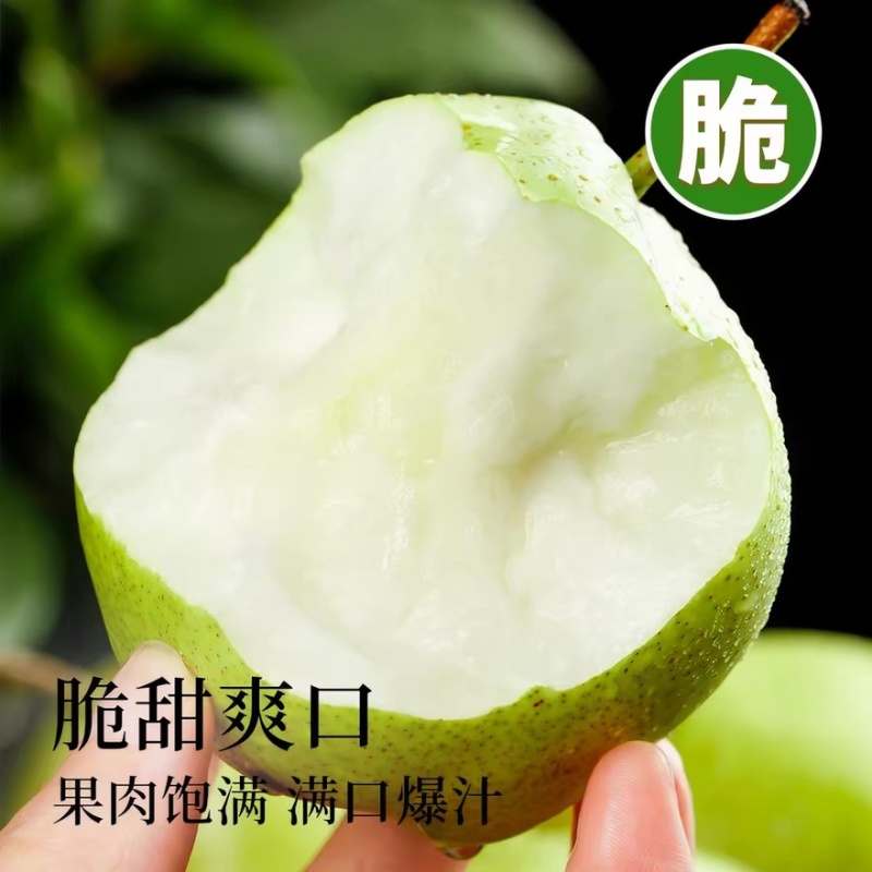 精品皇冠梨，鲜果大量上市，对接电商，市场，商超，品质保证