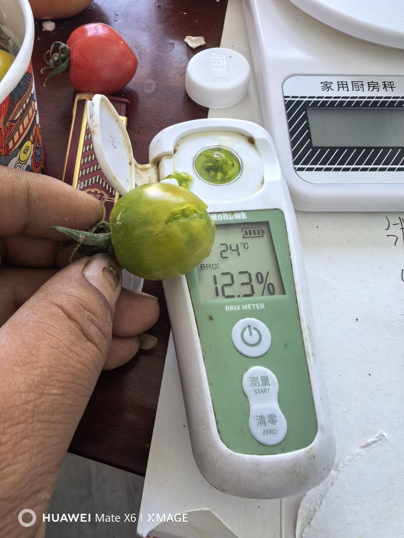 多丽青田迷恋唐伯虎