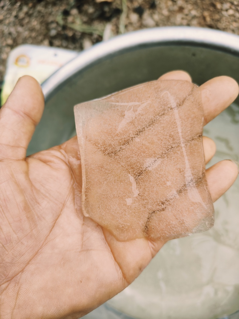 贵州冰粉籽手搓冰粉原料商用批发