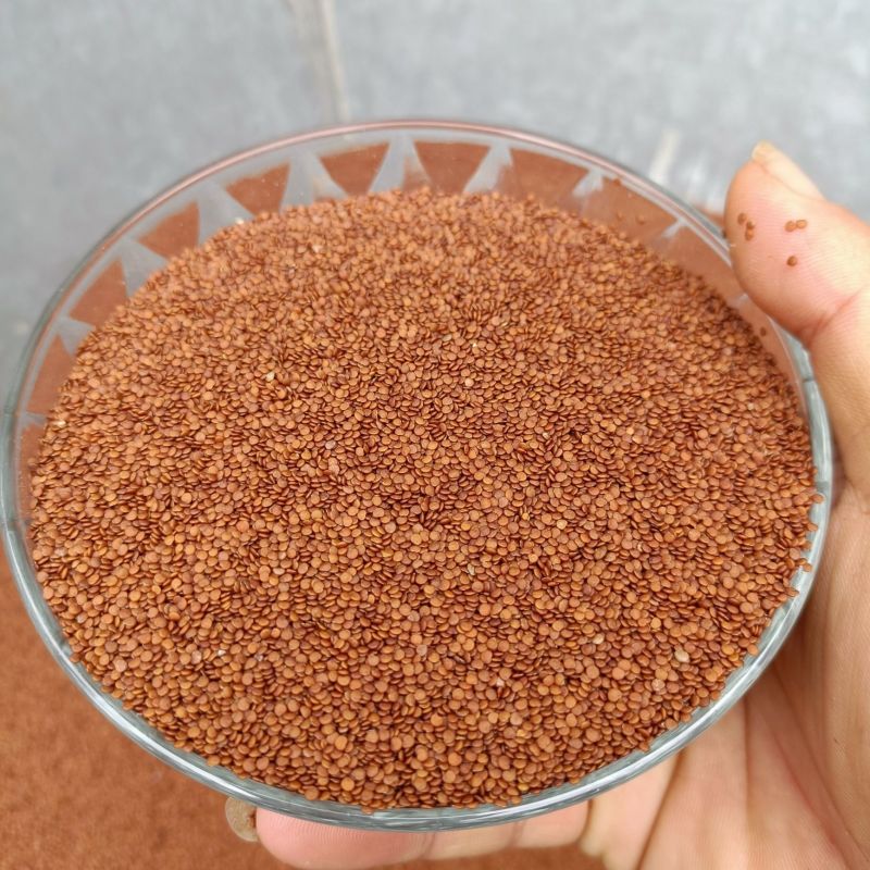 贵州冰粉籽手搓冰粉原料商用批发