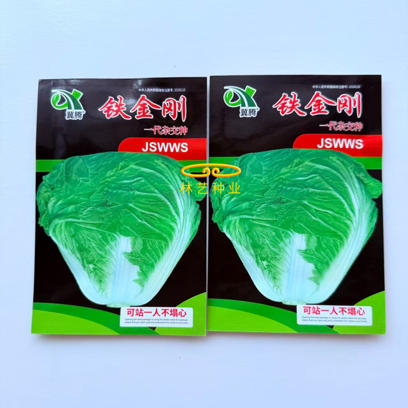 铁金刚白菜结球速度快紧实硬高抗三大病害耐重茬耐贮存