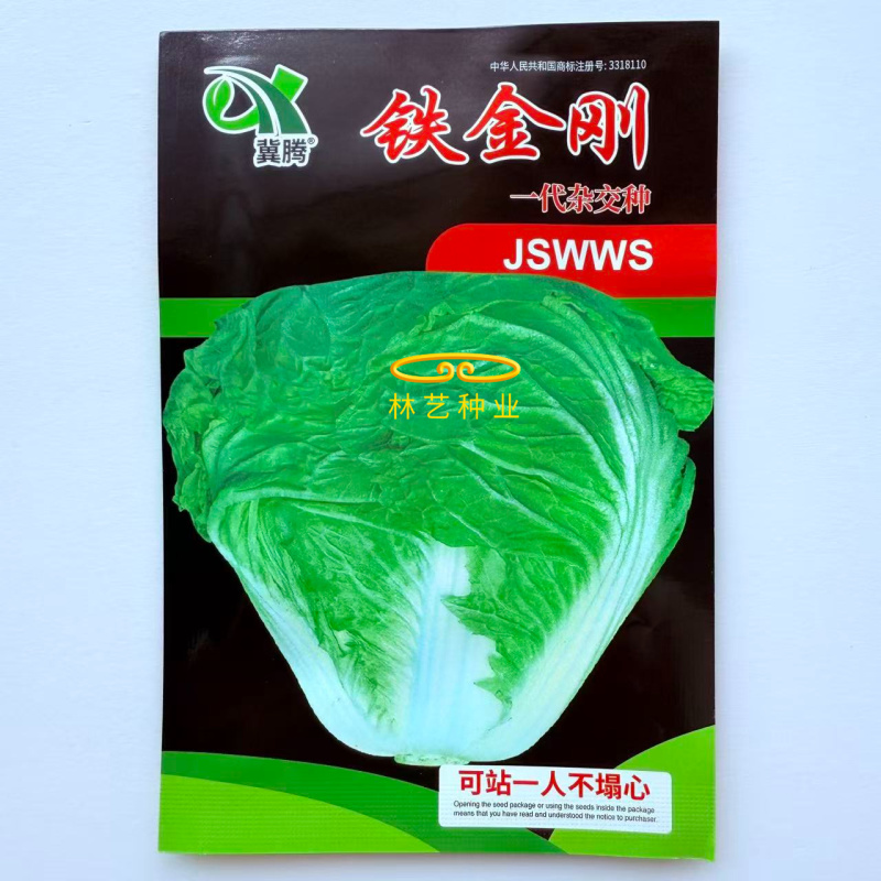 铁金刚白菜结球速度快紧实硬高抗三大病害耐重茬耐贮存