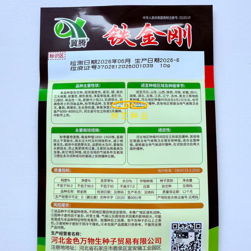 铁金刚白菜结球速度快紧实硬高抗三大病害耐重茬耐贮存