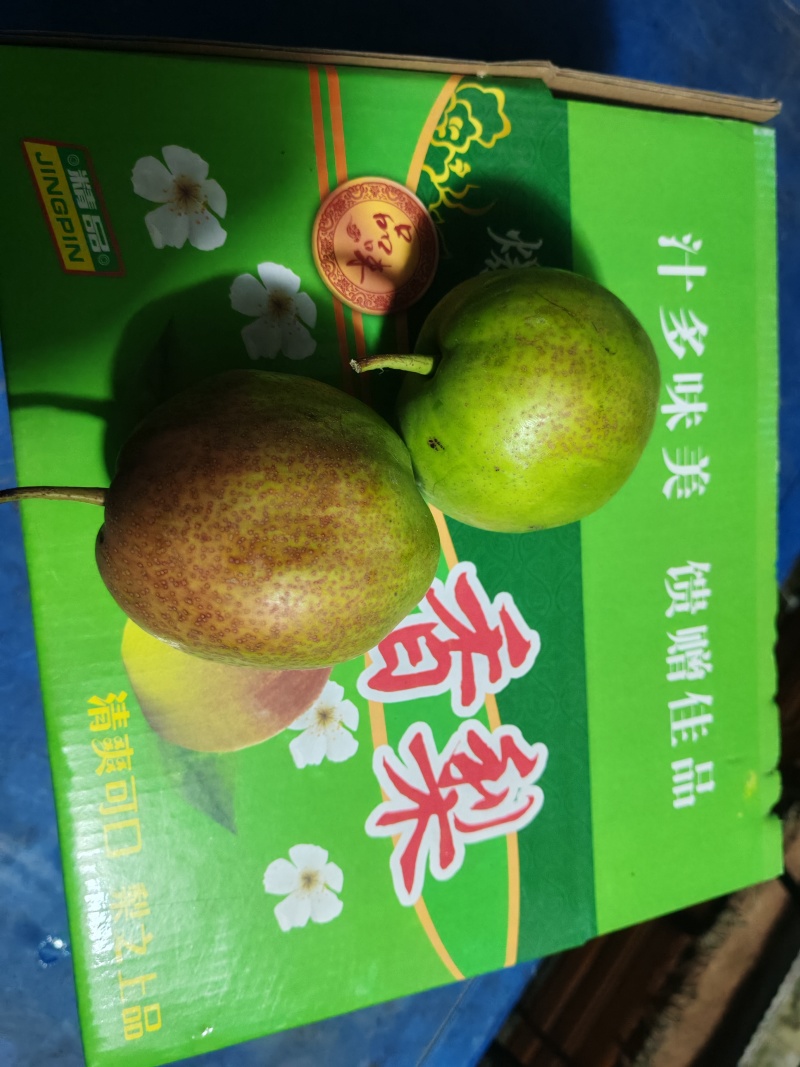 爆汁香梨