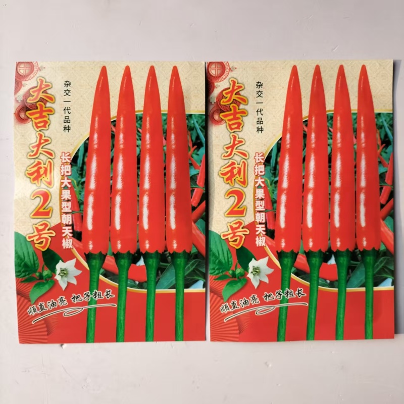 大吉大利长把大果朝天椒种子杂交一代精品朝天椒种子高产抗病