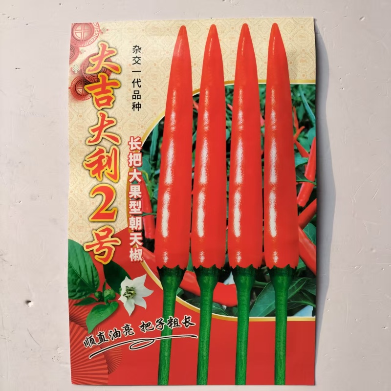 大吉大利长把大果朝天椒种子杂交一代精品朝天椒种子高产抗病