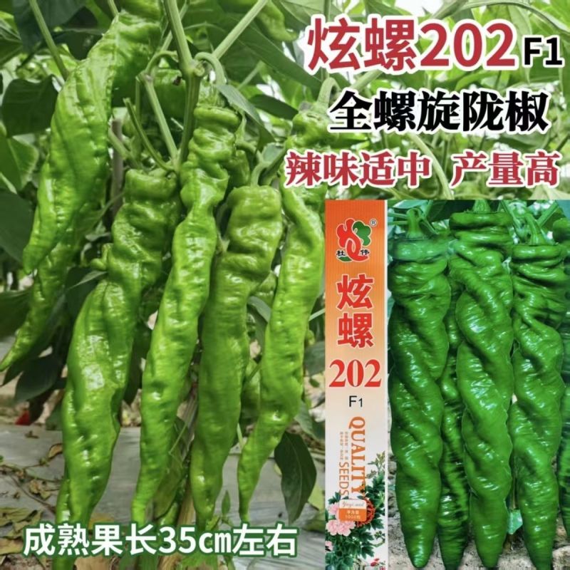 炫螺202全螺旋陇椒种籽果型顺直辣味适中耐运输高产抗病