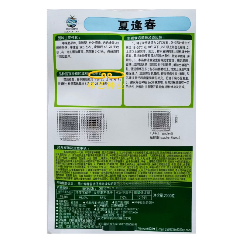 夏逢春大白菜种子中晚熟直筒型抗根肿病耐抽苔适应性广中棵型