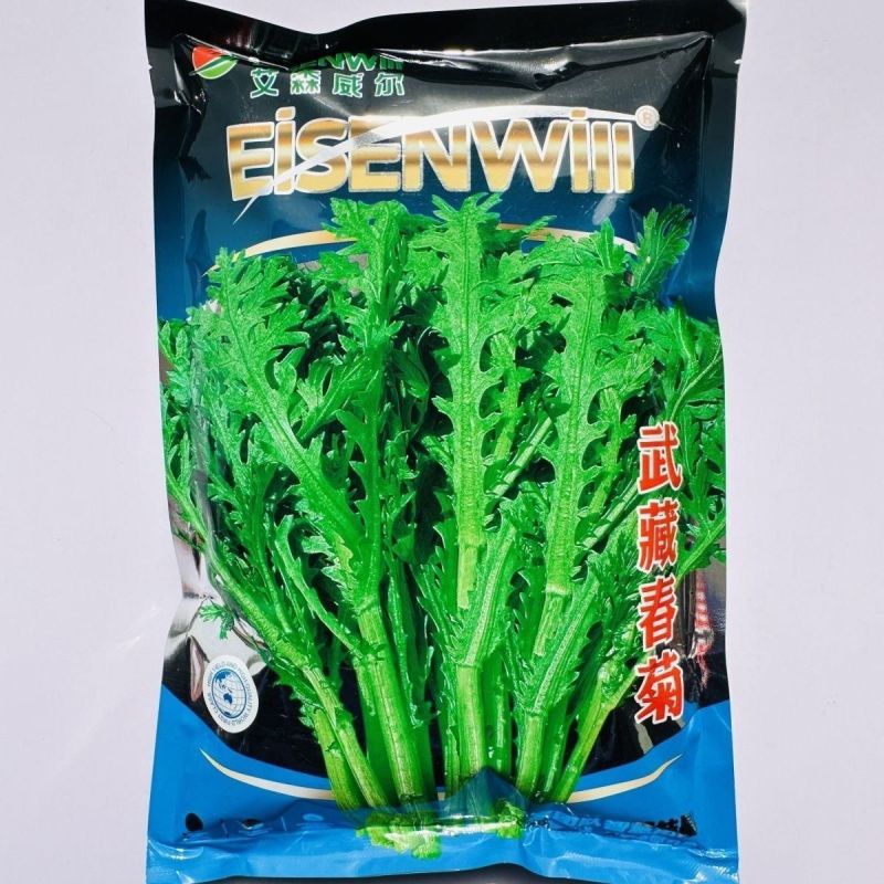 高杆茼蒿种子四季盆栽大田基地蔬菜皇帝菜青菜小叶茼蒿蔬菜种
