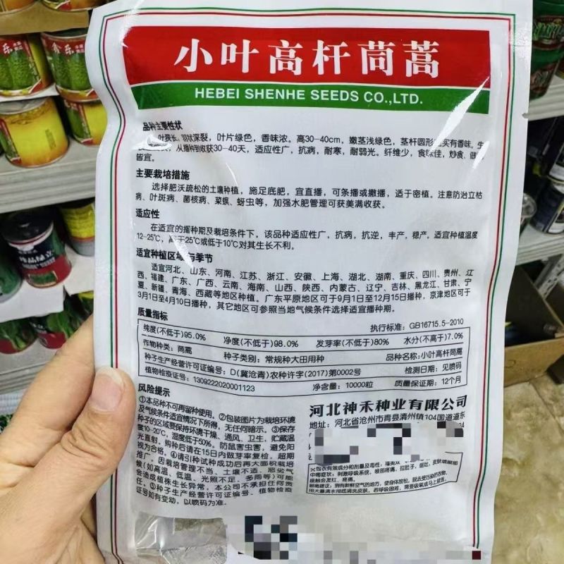 高杆茼蒿种子四季盆栽大田基地蔬菜皇帝菜青菜小叶茼蒿蔬菜种