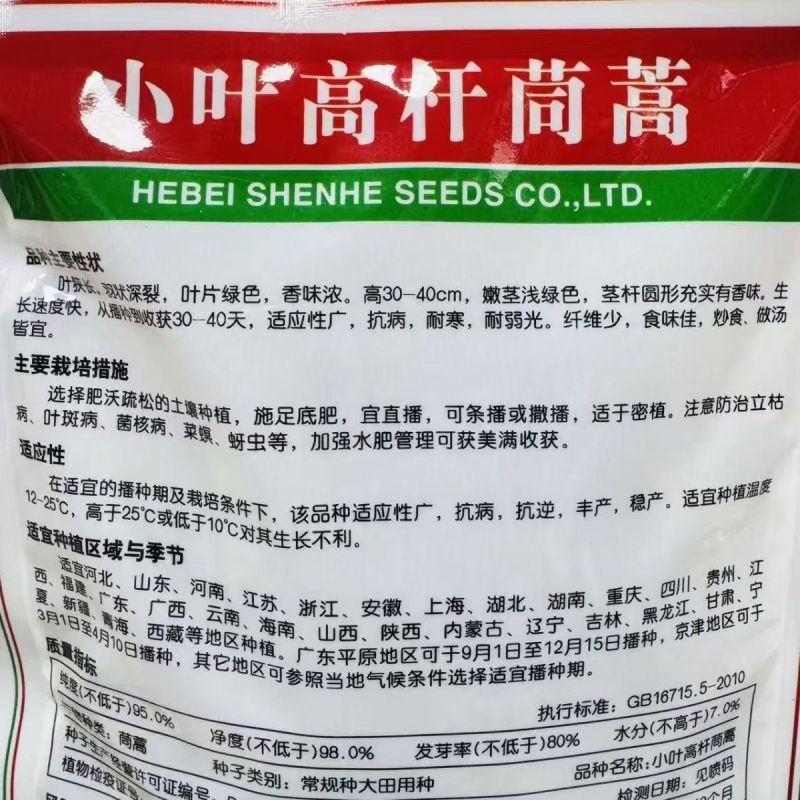 高杆茼蒿种子四季盆栽大田基地蔬菜皇帝菜青菜小叶茼蒿蔬菜种